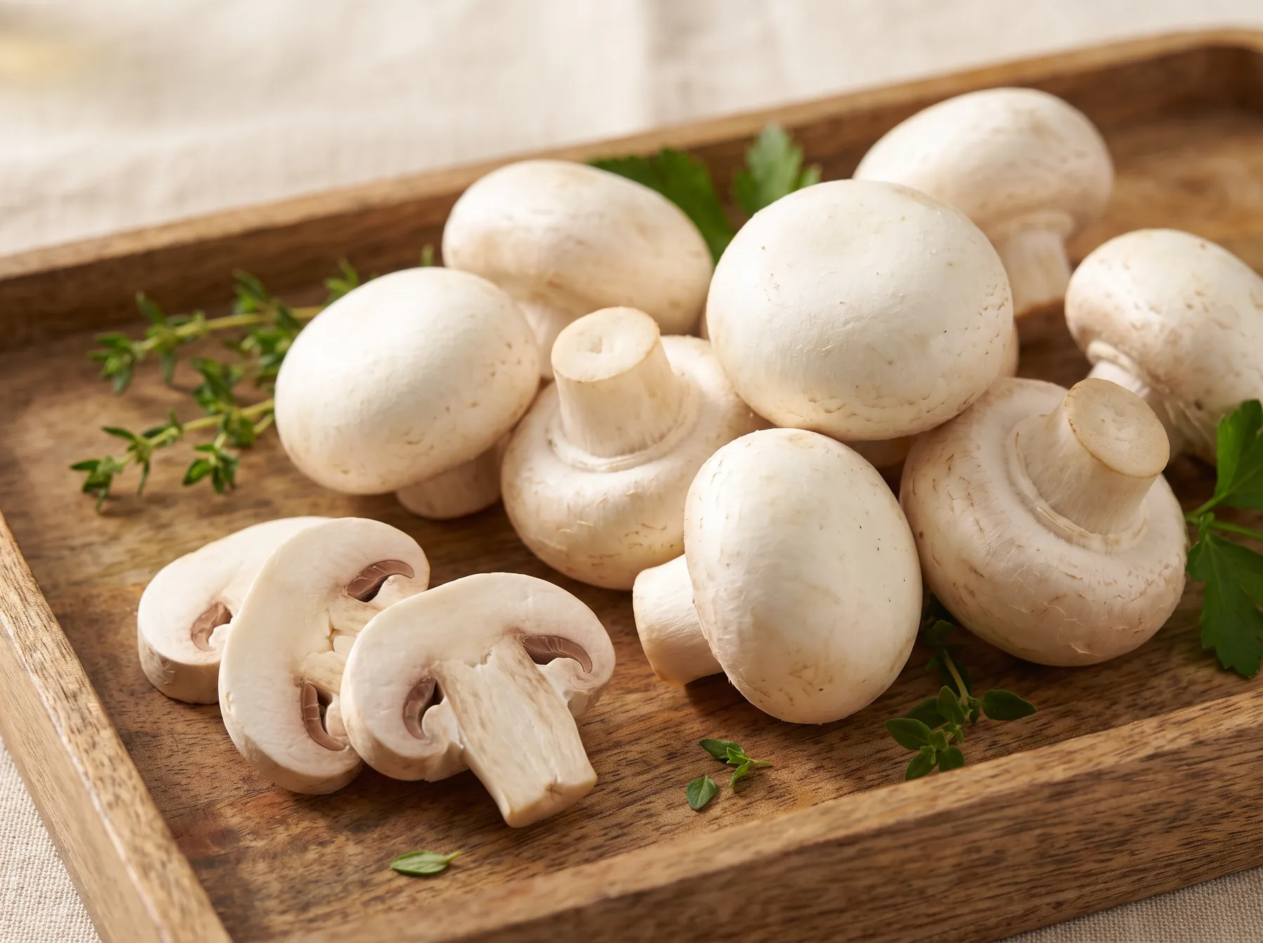 绿帽社